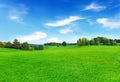 Sunny meadow and blue sky Royalty Free Stock Photo