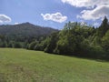 Sunny meadow in summertime, with blue skies and white clouds Royalty Free Stock Photo