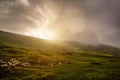 A sunny morning in the Carpathian mountains. Ukraine Royalty Free Stock Photo