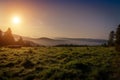 A sunny morning in the Carpathian mountains. Ukraine Royalty Free Stock Photo