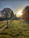 sunny morning green grass clear beautiful sky