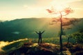 Sunny morning. Happy hiker with hands in the air stand on rock bellow pine tree. Misty and foggy morning valley.