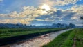 Sunny morning inthe rice field with irrigation folowing inthe line with the clouds blown by the wind