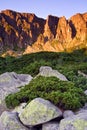 Sunny morning in the mountains Royalty Free Stock Photo