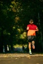 Sunny morning outdoor training. Back view. Muscular, athletic man in sportswear, runner in motion, running in city park Royalty Free Stock Photo