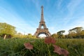 Sunny morning in Paris and Eiffel Tower with maple leaf at Paris