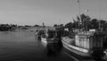 A sunny morning at the port of Barreirinhas