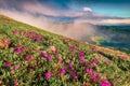 Sunny morning scene of Chornogora mountain range with Hoverla peak on background.