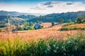 Sunny morning scene of Rogojel village. Exciting summer landscape of Cluj County, Romania, Europe. Beauty of countryside concept