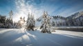 Sunny morning in Yellowstone National park in Winter