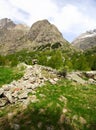 Sunny mountain landscape