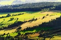 Sunny mountain valley with green fields and meadows. Scenic farmland landscape aerial view.