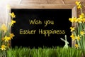 Sunny Narcissus, Bunny, Text Wish You Easter Happiness