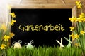 Sunny Narcissus, Easter Egg, Bunny, Gartenarbeit Means Gardening Royalty Free Stock Photo