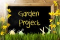 Sunny Narcissus, Easter Egg, Bunny, Text Garden Project