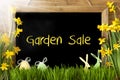 Sunny Narcissus, Easter Egg, Bunny, Text Garden Sale