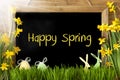 Sunny Narcissus, Easter Egg, Bunny, Text Happy Spring Royalty Free Stock Photo