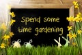 Sunny Narcissus, Easter Egg, Bunny, Text Spend Some Time Gardening Royalty Free Stock Photo