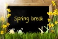 Sunny Narcissus, Easter Egg, Bunny, Text Spring Break