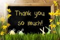 Sunny Narcissus, Easter Egg, Bunny, Text Thank You So Much