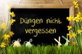 Sunny Narcissus, Egg, Duengen Nicht Vergessen Means Not Forget Dung