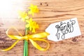 Sunny Narcissus Flower, Label, Calligraphy Thank You