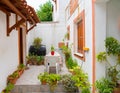 Sunny nook filled with potted plants and a table and chairs