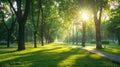 A sunny park path with trees Royalty Free Stock Photo