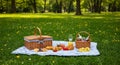 Sunny Park Picnic with Pastries and Fruit Royalty Free Stock Photo