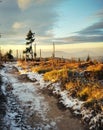 Sunny path in mouintains with snow and trees at sunset Royalty Free Stock Photo