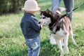 Sunny pictures of a happy girl with a dog