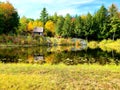 Sunny pond Royalty Free Stock Photo