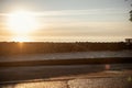 Sunny promenade by the sea at sunrise. The sidewalk is paved. Road by the sea for jogging, sports