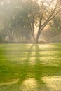 Sunny rays breaking thru after rain in the neighborhood