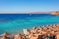 Sunny resort beach with palm tree at the coast of Red Sea in Sharm el Sheikh, Sinai, Egypt, Asia in summer hot. ÃÂ¡oral reef and