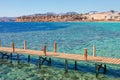 Sunny resort beach with palm tree at the coast of Red Sea in Sharm el Sheikh, Sinai, Egypt, Asia in summer hot. ÃÂ¡oral reef and