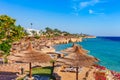 Sunny resort beach with palm tree at the coast shore of Red Sea in Sharm el Sheikh, Sinai, Egypt, Asia in summer hot. Bright sunny Royalty Free Stock Photo
