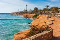 Sunny resort beach with palm tree at the coast shore of Red Sea in Sharm el Sheikh, Sinai, Egypt, Asia in summer hot. Bright sunny Royalty Free Stock Photo