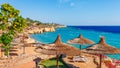 Sunny resort beach with palm tree at the coast shore of Red Sea in Sharm el Sheikh, Sinai, Egypt, Asia in summer hot. Bright sunny Royalty Free Stock Photo
