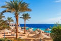 Sunny resort beach with palm tree at the coast shore of Red Sea in Sharm el Sheikh, Sinai, Egypt, Asia in summer hot. Bright sunny Royalty Free Stock Photo