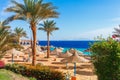 Sunny resort beach with palm tree at the coast shore of Red Sea in Sharm el Sheikh, Sinai, Egypt, Asia in summer hot. Bright sunny Royalty Free Stock Photo