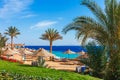 Sunny resort beach with palm tree at the coast shore of Red Sea in Sharm el Sheikh, Sinai, Egypt, Asia in summer hot. Bright sunny Royalty Free Stock Photo