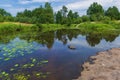 Sunny river bank in the countryside Royalty Free Stock Photo