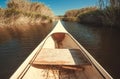 Sunny river with boat, quiet backwater between the reeds