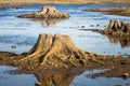 Sunny riverside landscape of a dried river bed and rocks. Stone balancing constructions near the river. Royalty Free Stock Photo