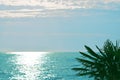 Sunny road on a sea. Green palm leaves. Summer time vacation travel. Blue sly sun shine