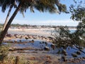 Sunny sandy rocky seashore in North Goa India with black stones in the water overlooking the beach through palm leaves