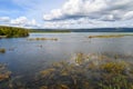 Sunny scenic landscape view of the entrance from the Brooks River into Naknek Lake, Katmai National Park, Alaska Royalty Free Stock Photo