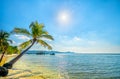 Sunny seascape with tropical palms on beautiful sandy beach in Phu Quoc island, Vietnam Royalty Free Stock Photo