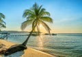 Sunny seascape with tropical palms on beautiful sandy beach in Phu Quoc island, Vietnam Royalty Free Stock Photo